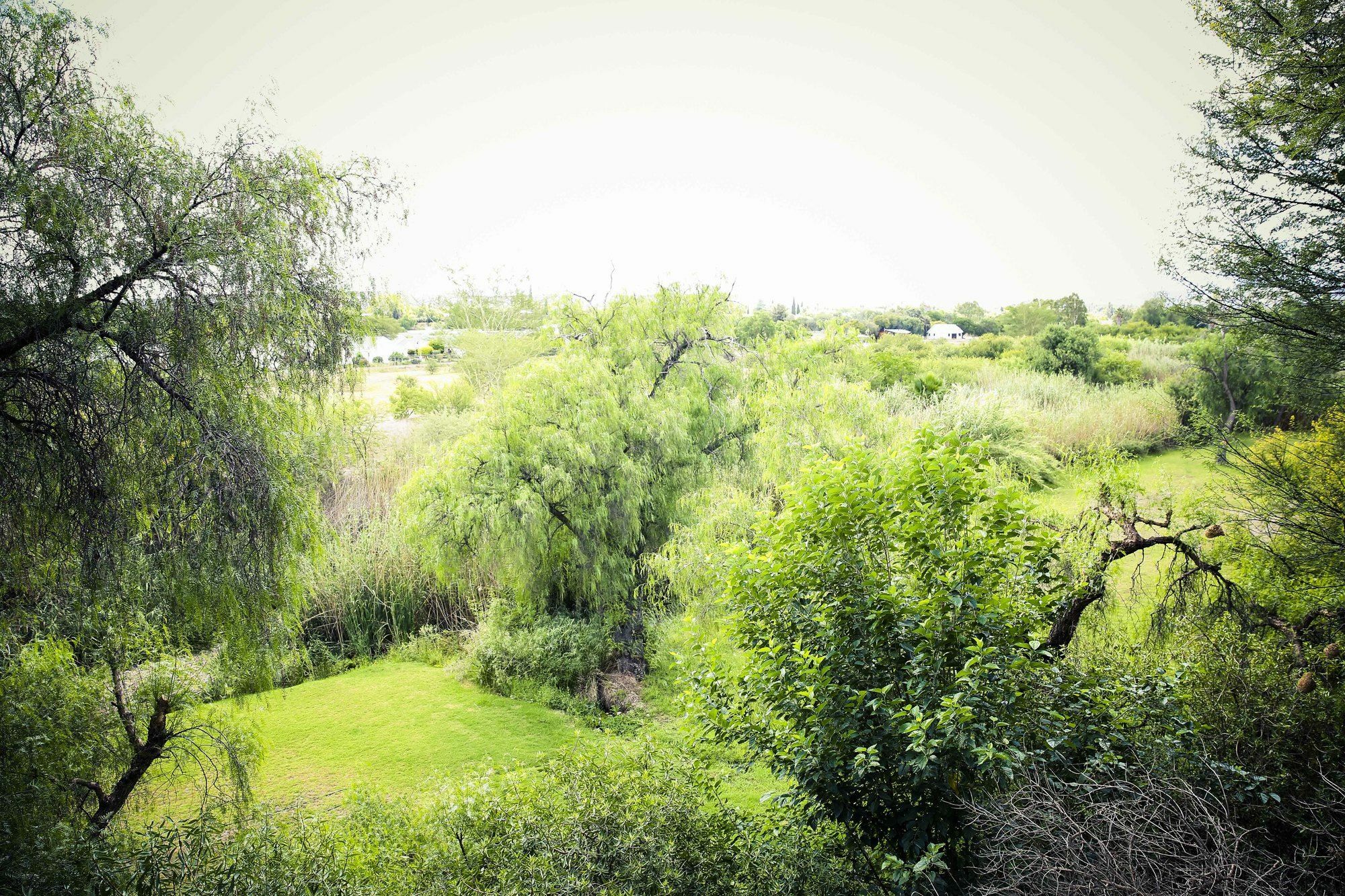 Riverside Guest Lodge Oudtshoorn Exterior photo